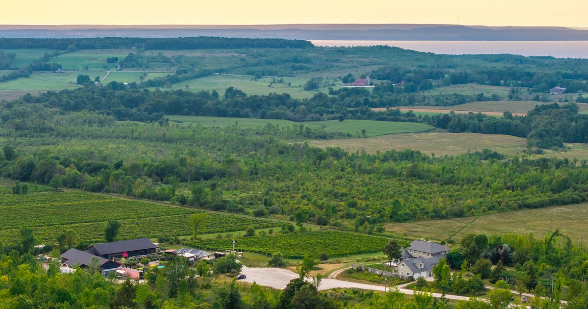 Coffin Ridge Winery, 599450 2nd Concession Rd N, Annan, Grey County