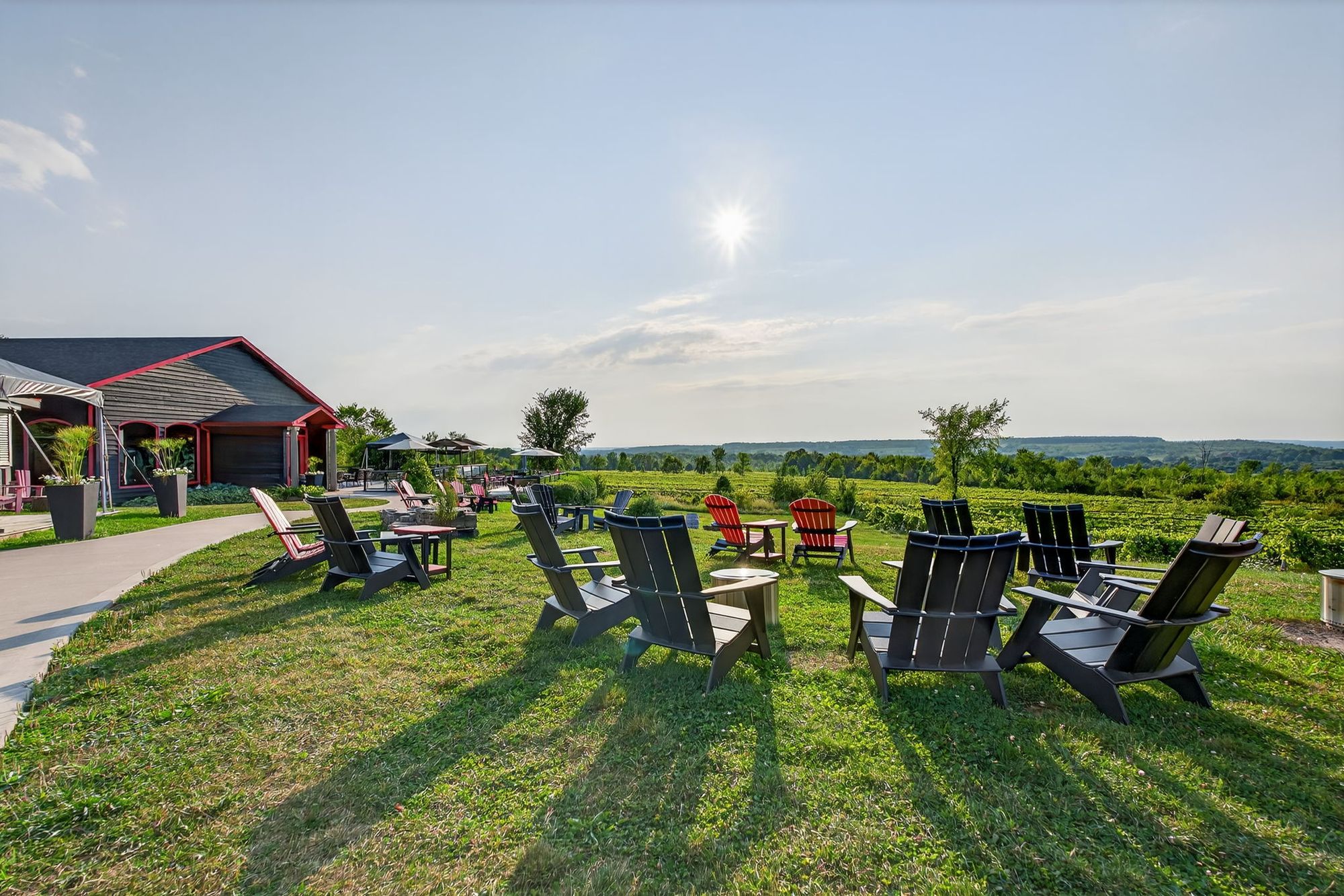 Muskoka chairs gathered on the lawn above the vines