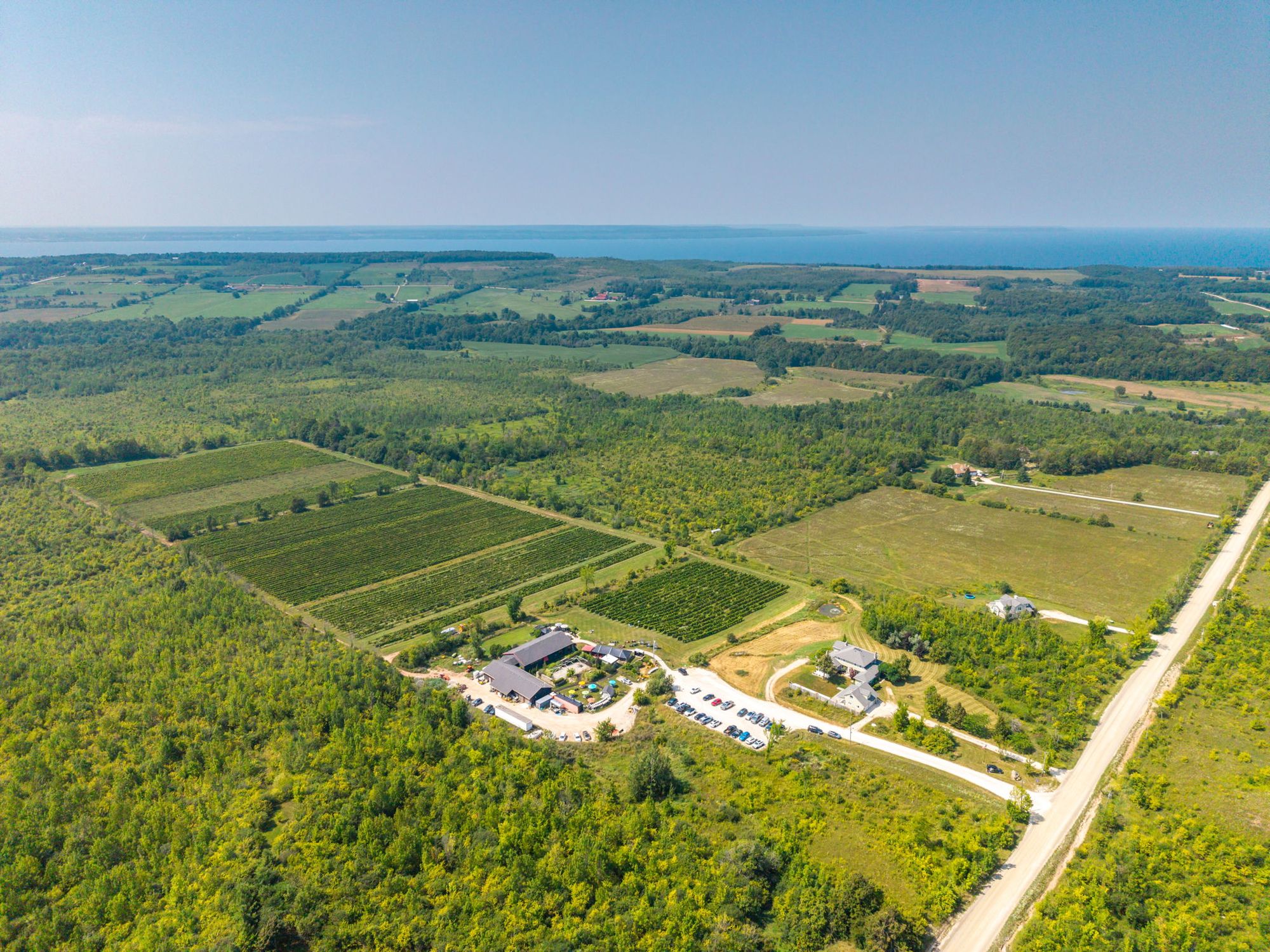 The vineyard blocks, the winery and the houses from the air, with Georgian Bay beyond