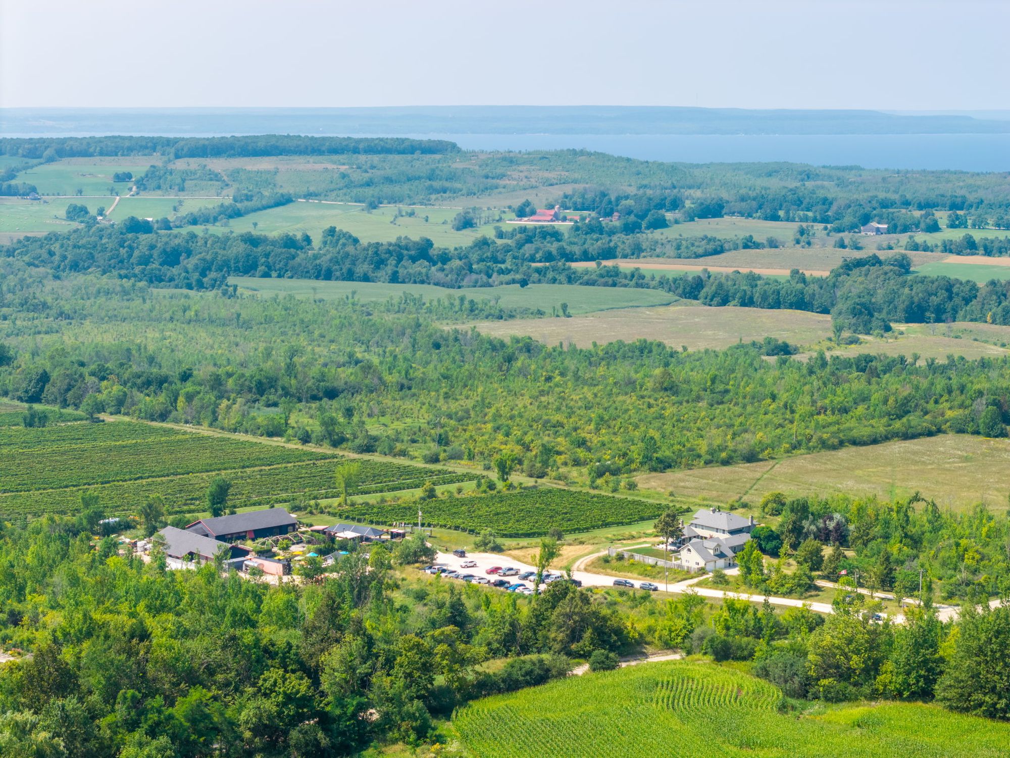 The winery among the fields and woods, the bay on the horizon