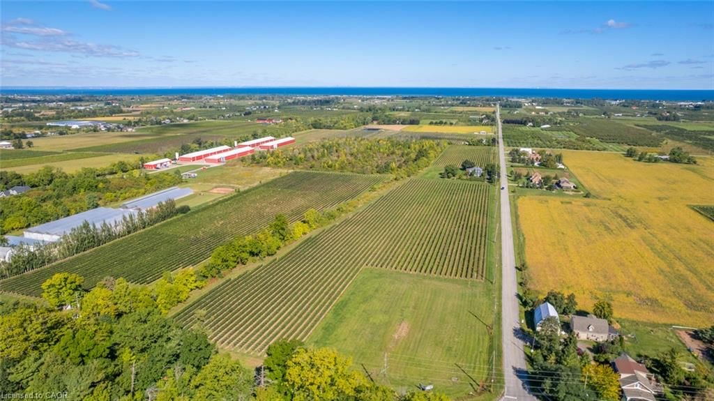 Aerial view over the vineyard rows at 3811 King Street, Lincoln, with Lake Ontario on the horizon